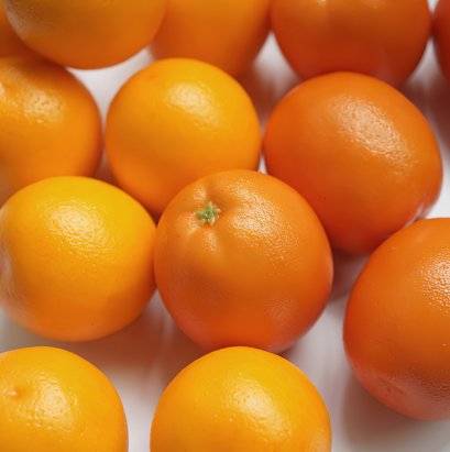 Orange Model (each)