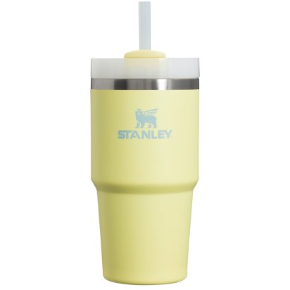 THE QUENCHER H2.0 FLOWSTATE™ TUMBLER | 20 OZ