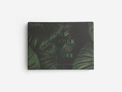(ENG) Wonder of Nature Card Set / self-knowledge / The School of Life