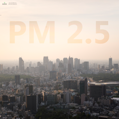 การแก้ไขปัญหาฝุ่น PM 2.5