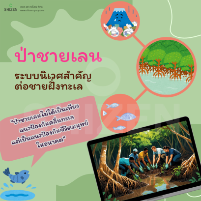 ระบบนิเวศสำคัญของป่าชายเลน