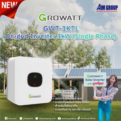 Growatt GWT-1KTL On-grid Inverter 1kW (Single Phase)
