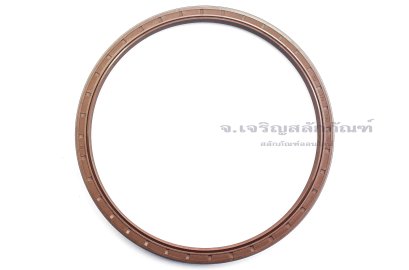 ซีลกันน้ำมัน TC 170-190-12 Viton