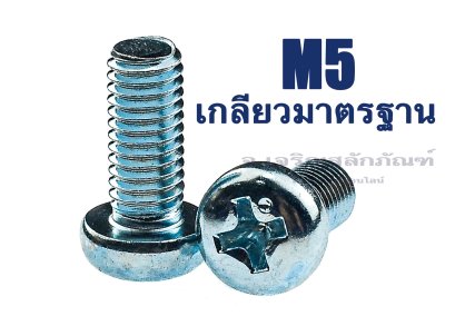 น็อตหัวกลมแฉกชุบขาว M5x60 เกลียวไม่ตลอด