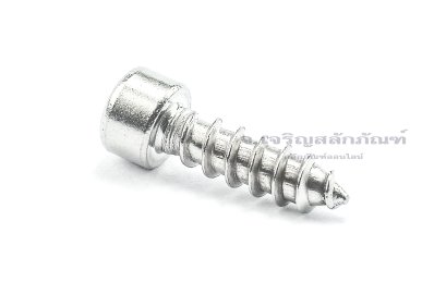 สกรูเกลียวปล่อยหัวจมสแตนเลส (Hex Socket Self Tapping Screw) M6x20