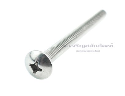 น็อตหัวร่มแฉกสแตนเลส (JT) M6x70