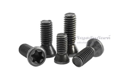 สกรูยึดมีดกลึง ( Screw Torx cutting tools ) M5x12