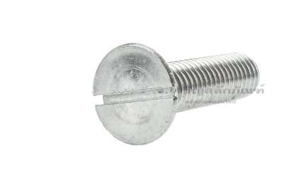 น็อตหัวเตเปอร์ผ่าสแตนเลส 1/2" x 2"
