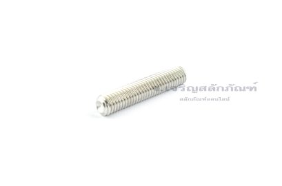 น็อตตัวหนอนสแตนเลส M8x40