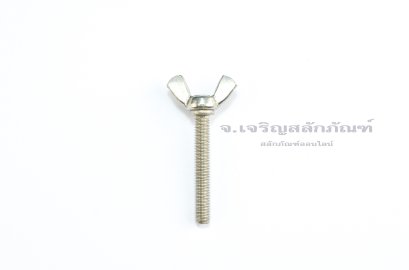 สกรูน็อตหางปลาสแตนเลส M6x40