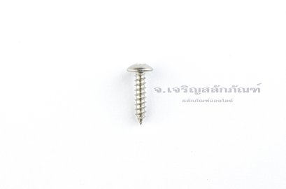 สกรูเกลียวปล่อยสแตนเลสหัวร่มแฉก 3.5x16
