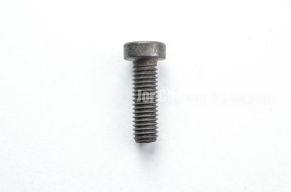 สกรูหัวจมหัวเตี้ยพิเศษ M8x25