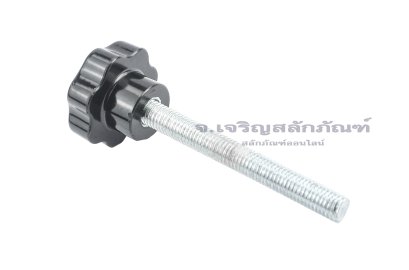 น็อตมือหมุนดอกไม้ (Star Grip Knob Bolt) ขนาด M12x100