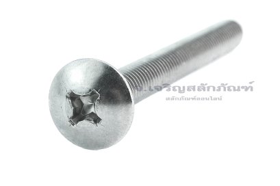 สกรูเกลียวปล่อยสแตนเลสหัวร่มแฉก M6x60