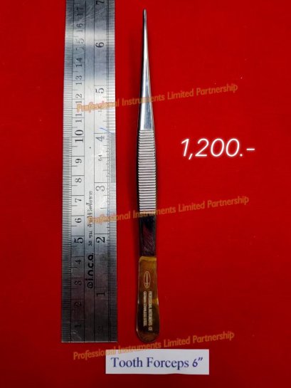 Tooth Forceps 6&quot;-Gold