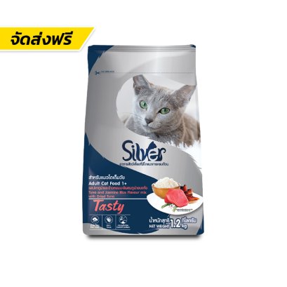 Silver (ซิลเวอร์)