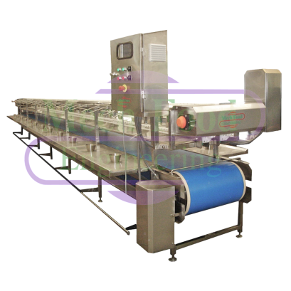 DE-HEADING & PEELING CONVEYOR