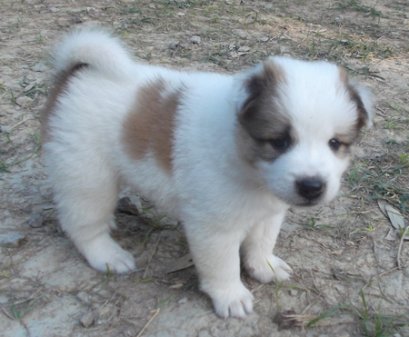 แสนหวาน M4