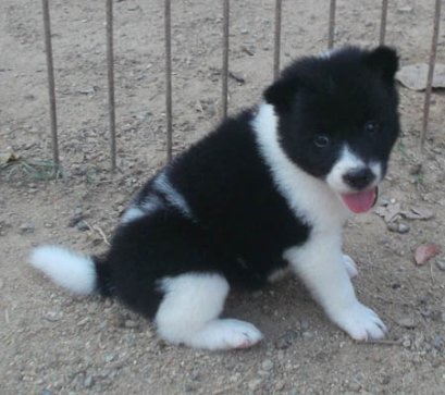 น้ำตาล F2