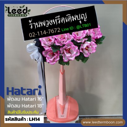 Hatari slide LH 14