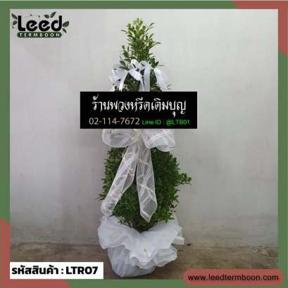 พวงหรีดต้นไม้ LTR07 ความสูงโดยประมาณ 1.2-1.7 เมตร