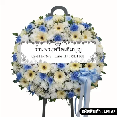 พวงหรีดดอกไม้สดโทนสีฟ้าครีมขาว ตกแต่งด้วยเยอบีร่าสีครีมและดอกมัมสีฟ้า รุ่นสิรินภา LM 37