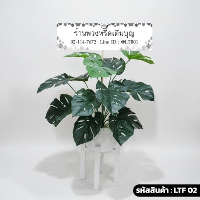 พวงหรีดต้นมอนสเตอร่าปลอม รหัส LTF 02 ร้านพวงหรีดเติมบุญ