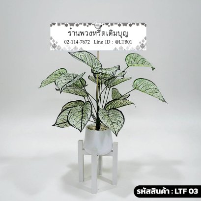 พวงหรีดต้นว่านเศรษฐีปลอม รหัส LTF 03 ร้านพวงหรีดเติมบุญ