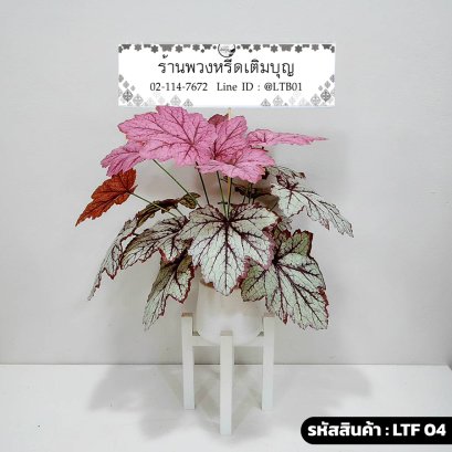พวงหรีดต้นบีโกเนียเร็กปลอม รหัส LTF 04 ร้านพวงหรีดเติมบุญ