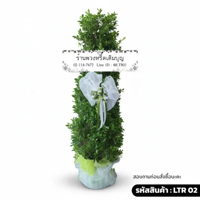 พวงหรีดต้นไม้ LTR 02 ศุภโชค ตกแต่งโบว์ตาข่ายสีขาว ต้นไทรเกาหลีสูง 120 ซม.