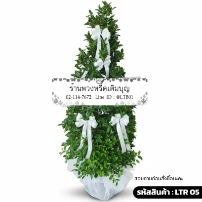 พวงหรีดต้นไม้ LTR 05 สุทธิรักษ์ ตกแต่งริบบิ้นสีขาวล้วน ต้นไทรเกาหลีสูง 120 ซม.