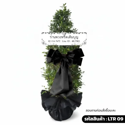พวงหรีดต้นไม้ไทรเกาหลี ประดับริบบิ้นสีดำ ชื่อรุ่นกิตติคุณ LTR 09