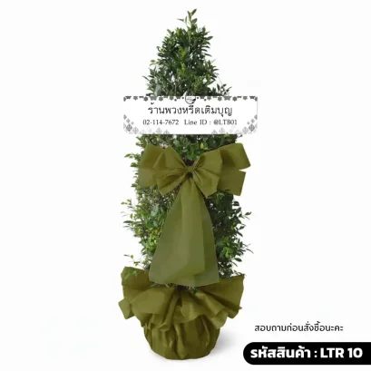 พวงหรีดต้นไม้ไทรเกาหลี ประดับริบบิ้นสีเขียวมะกอก ชื่อรุ่นธรรมรักษา LTR 10