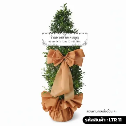 พวงหรีดต้นไม้ไทรเกาหลี ประดับริบบิ้นสีทองแดง ชื่อรุ่นอำไพ LTR 11