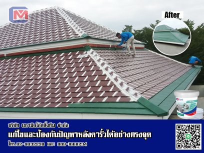 แก้ไขและป้องกันหลังคารั่วได้อย่างตรงจุด