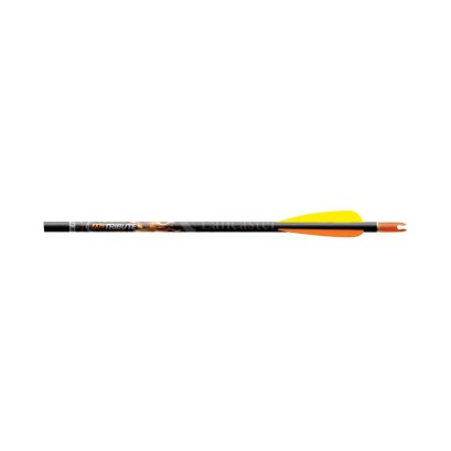 EASTON TRIBUTE FLETCHED ARROW W/ 3" VANES