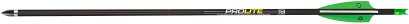 TenPoint 20-Inch Pro Elite 400 Carbon Crossbow Arrows, Alpha Nocks