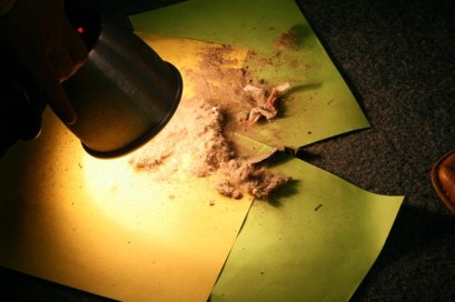 เครื่องดูดฝุ่นเรนโบว์ หัวดูดฝุ่นที่นอน พรม พื้นไม้ กระเบื้อง กำจัดไรฝุ่น