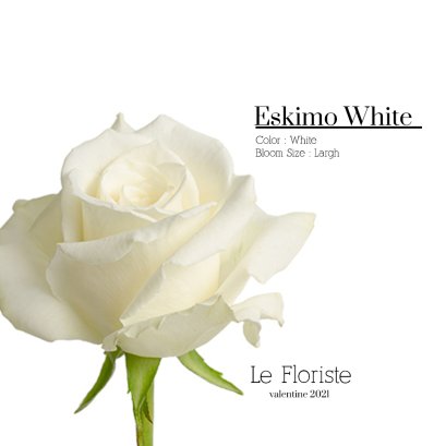 eskimo rose