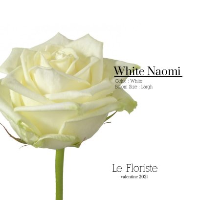 White Naomi