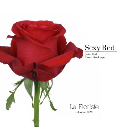 Red Rose Valentine Lefloriste