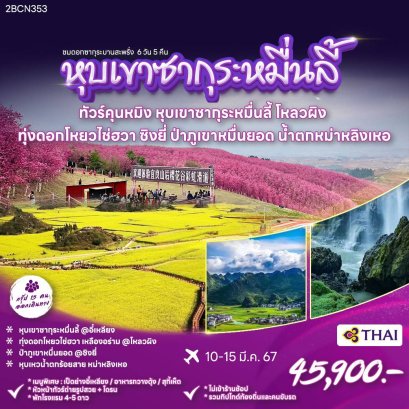 ทัวร์จีน คุนหมิง อี๋เหลียง หลอผิง ซิงยี่ หุบเขาซากุระหมื่นลี้ ทุ่งดอกมัสตาร์ด 6 วัน 5 คืน -TG