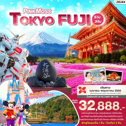PINKMOSS TOKYO FUJI FREE DAY 5D3N | โปรแกรมทัวร์ญี่ปุ่น ทัวร์ญี่ปุ่น แพคเกจทัวร์ญี่ปุ่น ทัวร์โตเกียว ทัวร์ภูเขาไฟฟูจิ ล่องเรือโจรสลัดฮาโกเน่ ทัวร์โอวาคุดานิ ทัวร์สวนโออิชิปาร์ค ทัวร์วัดอาซากุสะ ทัวร์สวนสนุกโตเกียวดิสนีย์แลนด์