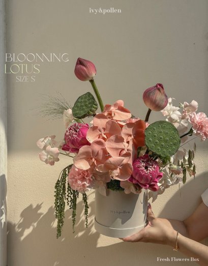 Blooming Lotus Box size S