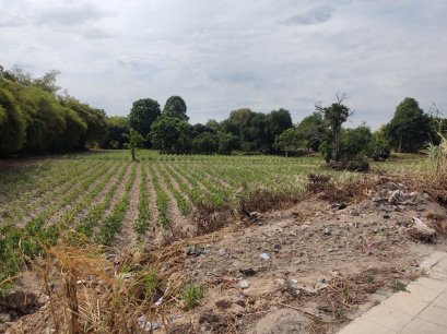 Land for rent 6 rai long term 20 years Located On Burapapat Road , Ban Chang Rayong