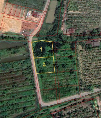 出售 2 块土地，以前是椰子园，北柳府Bang Tin Ped 区 Sukprayun 路，  近曼谷，混凝路，总面积为 1 莱 3 ngan 62 平方哇
