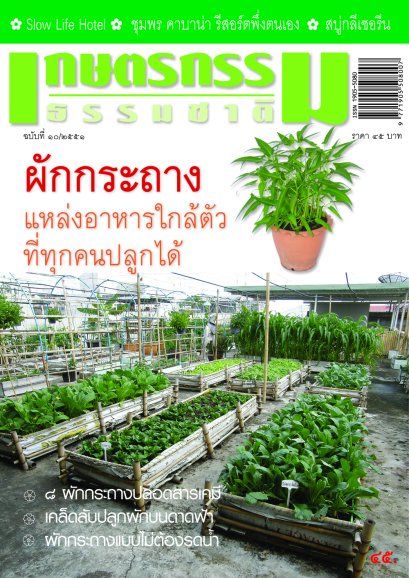 ฉบับที่ 10/2551   