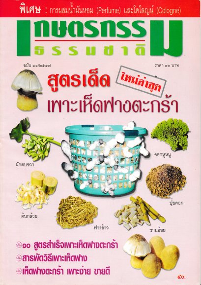 ฉบับที่ 11/2547 