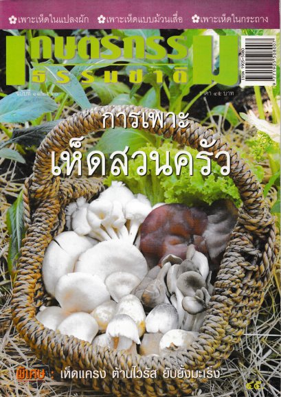 ฉบับที่ 11/2550 