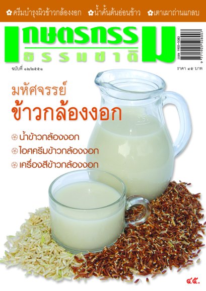 ฉบับที่ 12/2551 